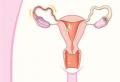 Менструальный цикл: норма, сбои, нарушения Как посчитать свой цикл