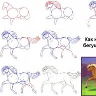 Мастер-класс «Рисование лошади поэтапно для детей подготовительной группы Как рисовать лошадь поэтапно 5 лет